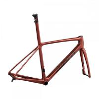2022 Giant TCR Advanced SL Disc Frameset (GUN2BIKESHOP)
