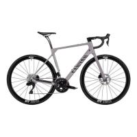 2026 Canyon Endurace CF 7 Di2 LTD Road Bike (PIENARBIKESHOP)